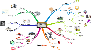 Leren leren BrainSense